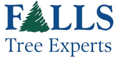 Falls Tree Experts